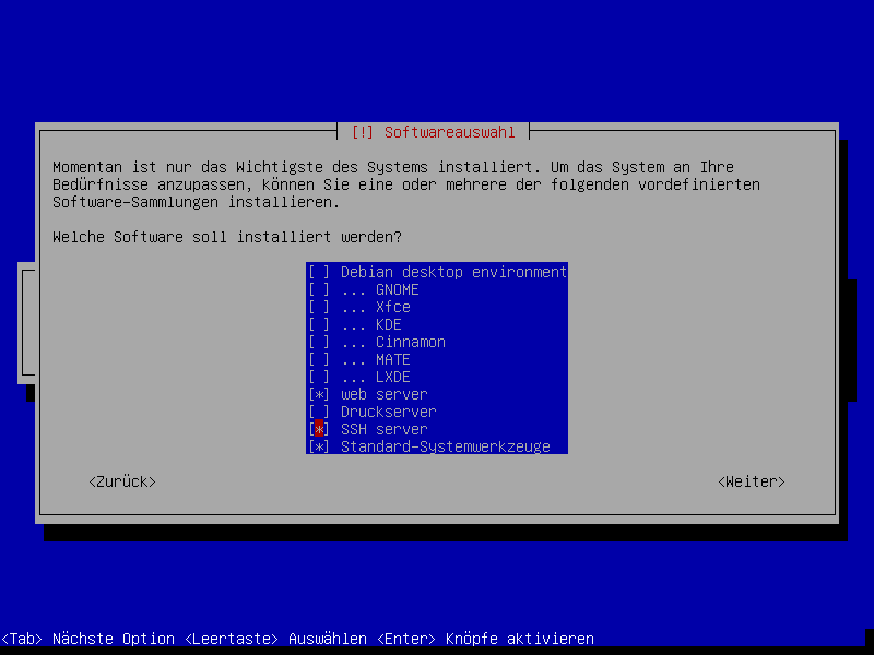 Debian Installation Erster Auswahlbildschirm