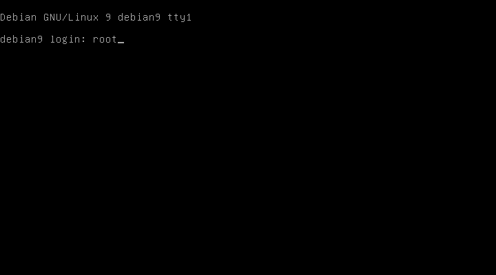Debian Installation Erster Auswahlbildschirm