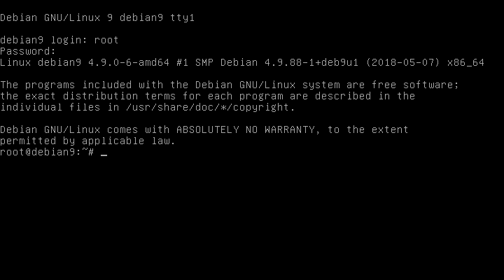 Debian Installation Erster Auswahlbildschirm